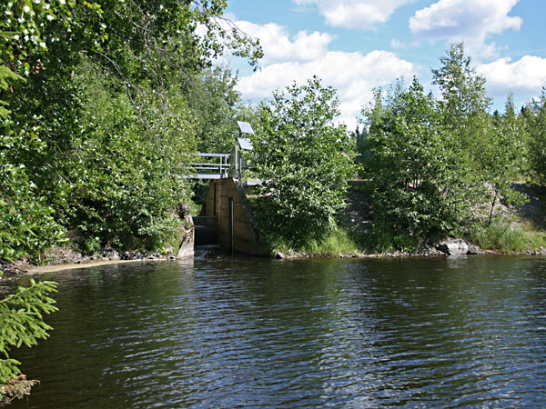 Suolij&auml;rven pato